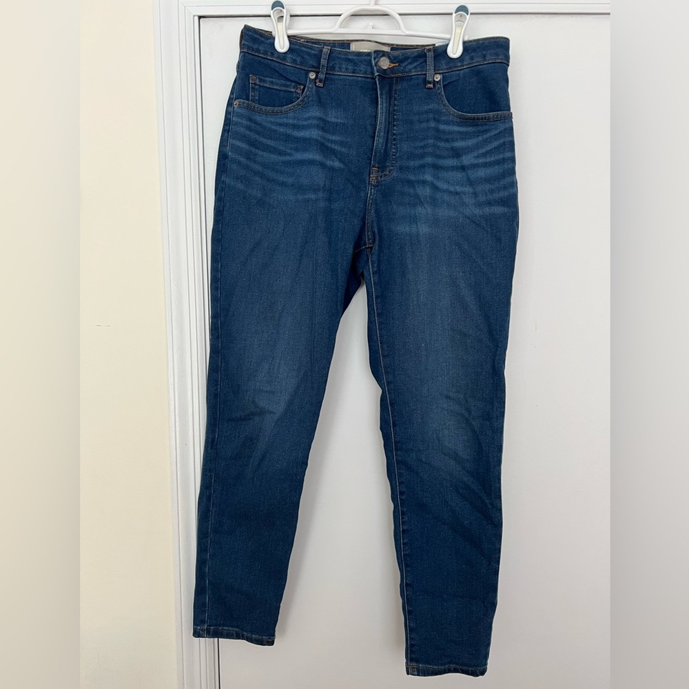 Everlane Curvy High Rise Skinny Jean